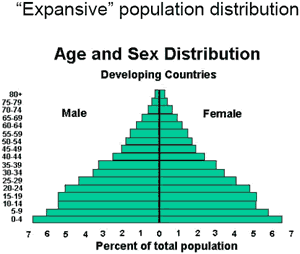 Expansive Age Distribution