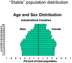 Stable Age Distribution