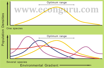 Community Individualistic Model