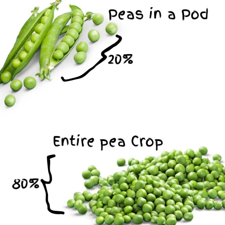 After a growing season Pareto was able to determine that 20% of the pea pods produced 80% of the peas.